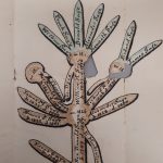 Sage Family Tree (male line)