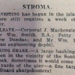 11 Sep JOG Crops and shark