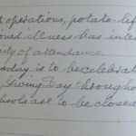 6 Nov Gillock School potato lifting