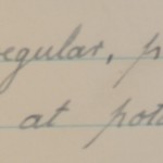 9 Nov Bower School potato lifting