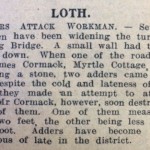 Week 120 19-dec-jog-loth-adders-attack