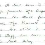 Week 103 22-aug-brabster-school-bull-still-at-large-p2