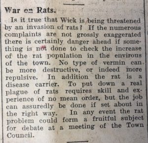 16 Jul JOG War on Rats