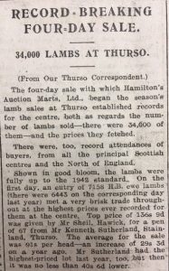 20 Aug JOG Thurso Lamb Sale