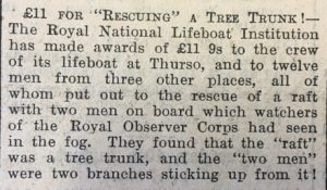 30 Jul Groat Rescuing Tree Trunk