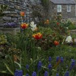 Week 44 wick memorial garden 1