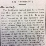 15 Oct JOG Norseman Harvesting