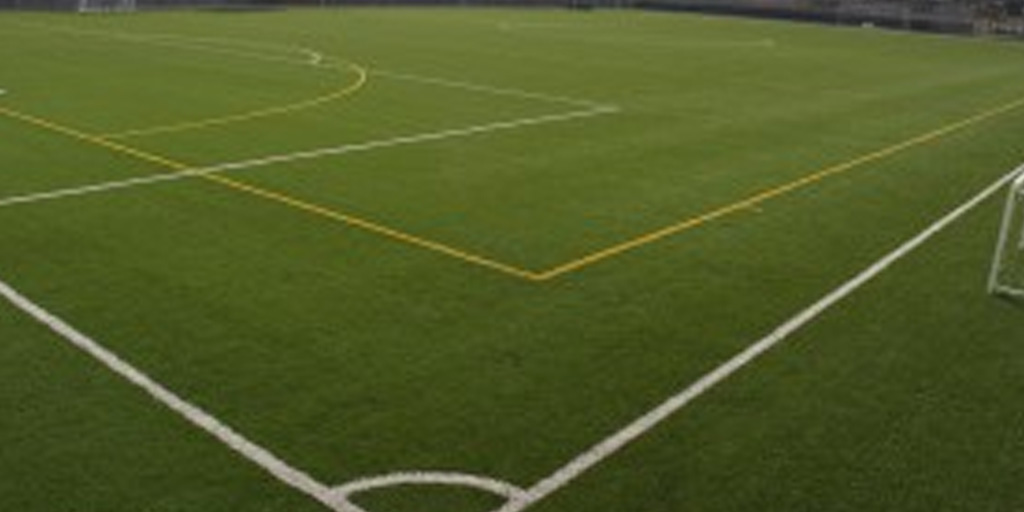 Sports Halls & Pitch