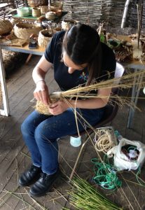 Straw coiling underway