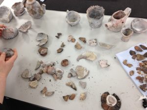 Sherds and pots. Note the difference in colour between pieces placed in the milk (white/grey) and sherds that didn’t go into the milk (brown/red/black) 