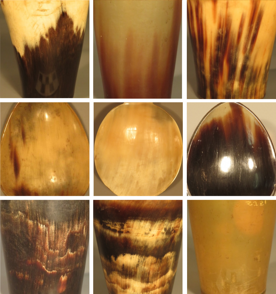 Different patterns that can be found within horn.