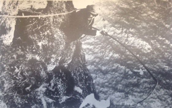 Fowling for birds using a rope and fowling rod, St Kilda. Image credit: Last Greetings from St Kilda, Bob Charnley (3) 
