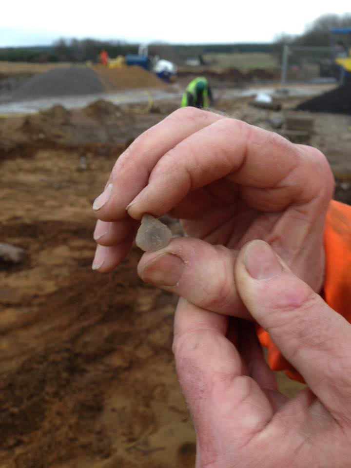 12717843_1104443049601155_6606551419355564125_n