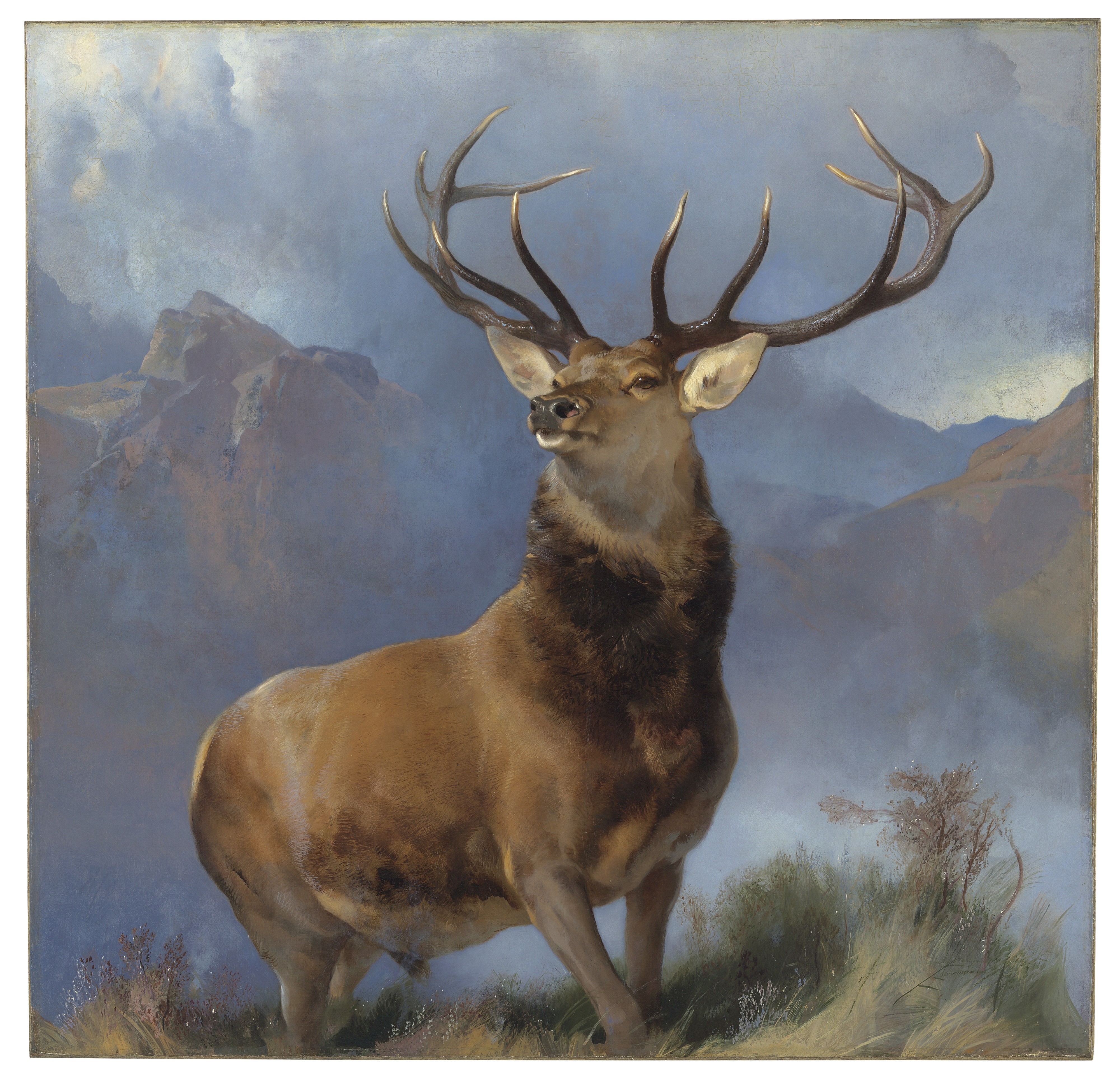Monarch of the Glen