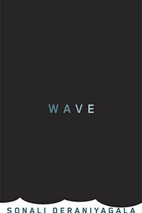 Wave : a memoir of life after the tsunami