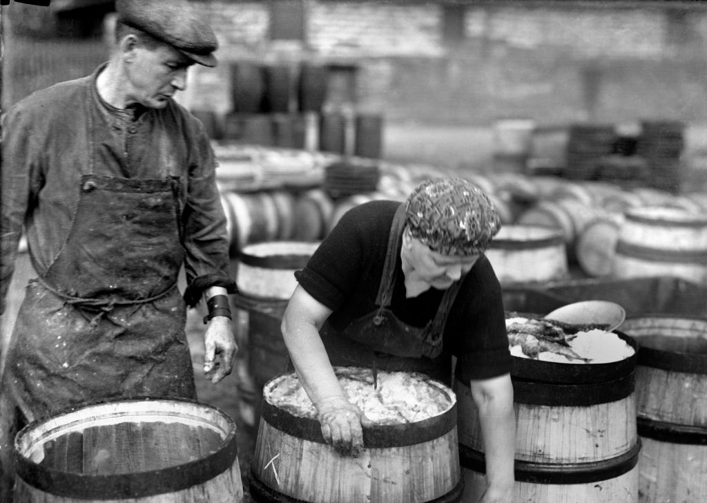 A gutter and a cooper packing salt herring into a barrel (Courtesy of the Johnston Collection 006_JN23157B027)