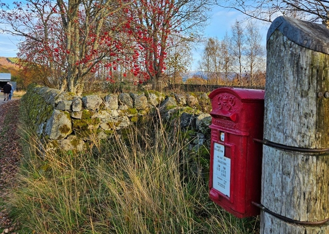 An autumnal photo of the pole mounted red postbox in the Croft at the Highland Folk Museum