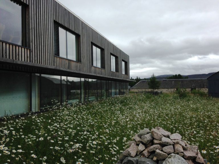A wooden‑clad modern building overlooking a meadow of daisies with hills in the distance.