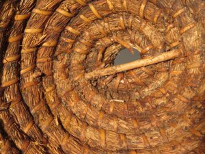A close-up of the tightly coiled straw interior of a bee skep showing the central opening.