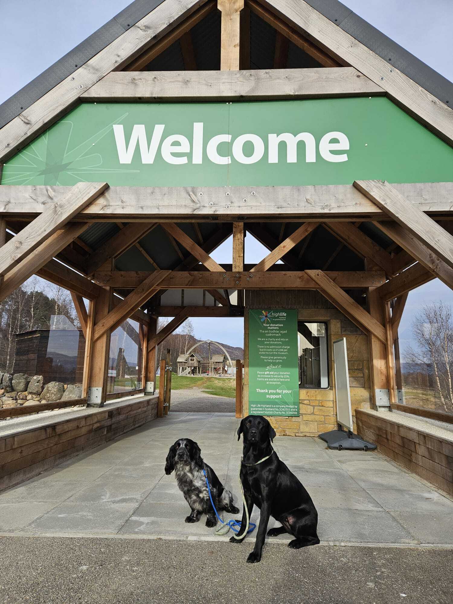 Two dogs in the foreground of the image, one black, one white and black, under a green welcome sign and a wooden entrance structure with pitched roof