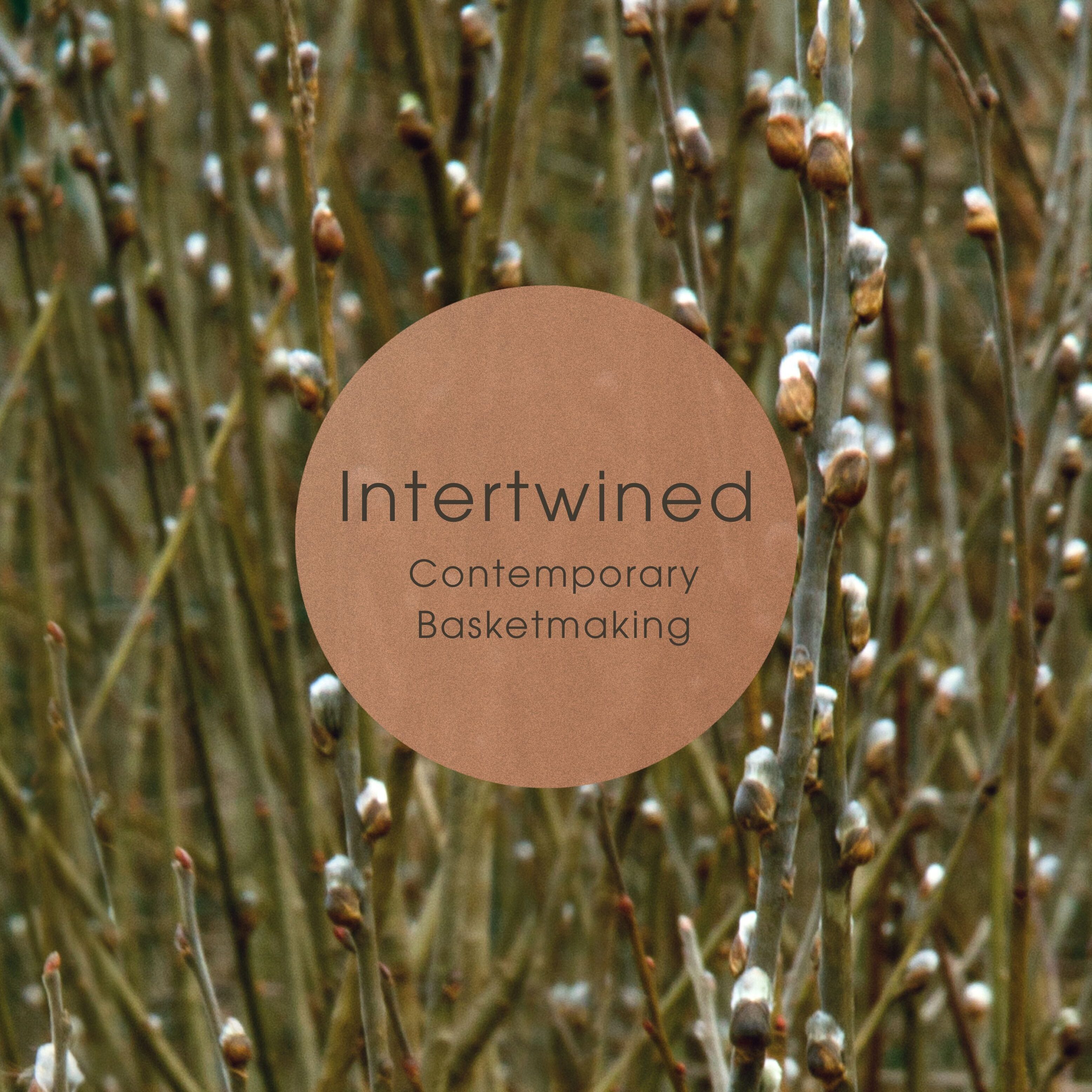 The text 'Intertwined Contemporary Basketry' over an image of willow growing.