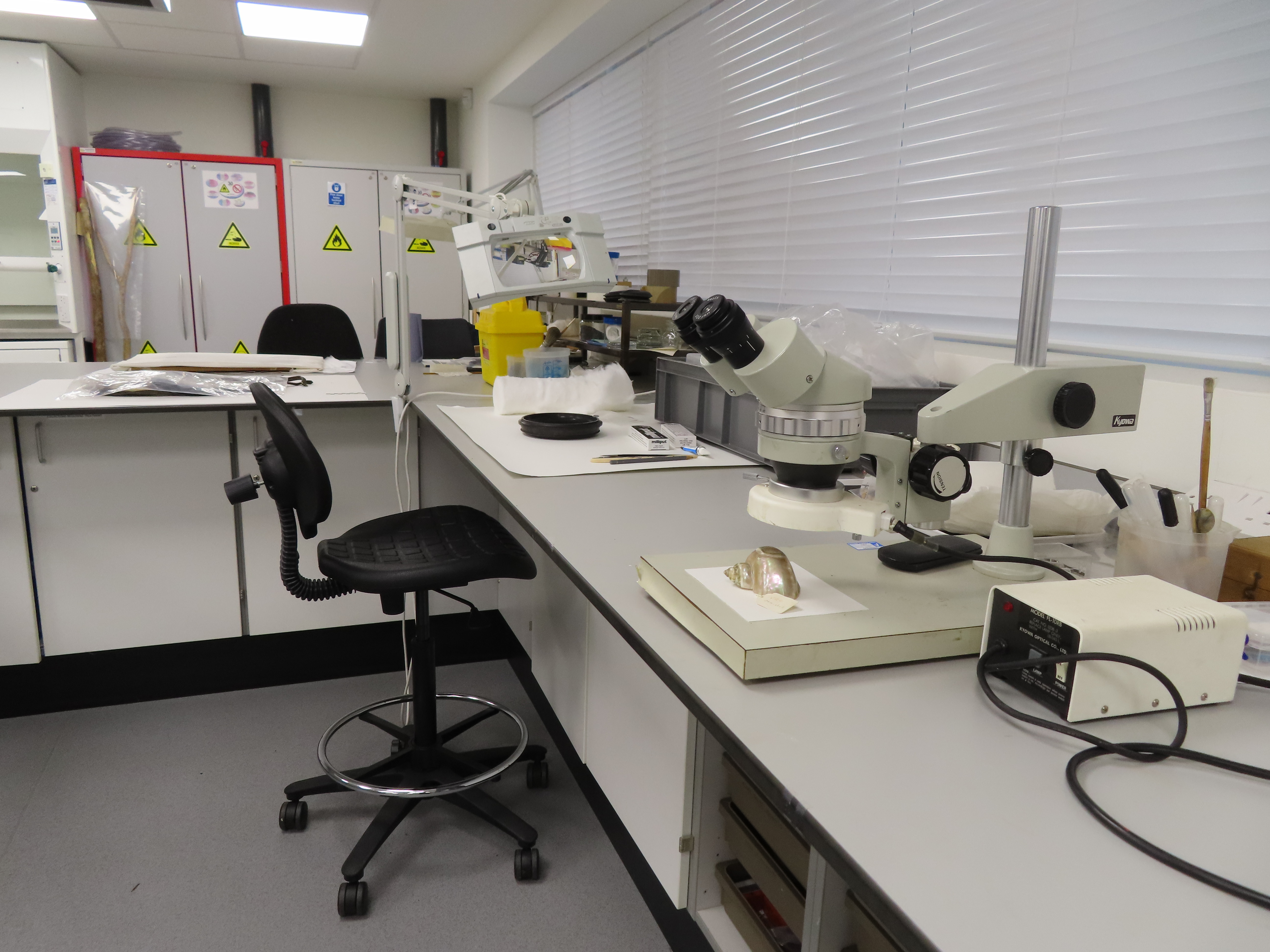 An office chair sits by a long worktop, runing down the right of the image.  On top of the worktop are various pieces of laoratory equipment and museum objects, including a large shell under a microscope.  In the background there are metal cabinets with hazard signs on the doors.