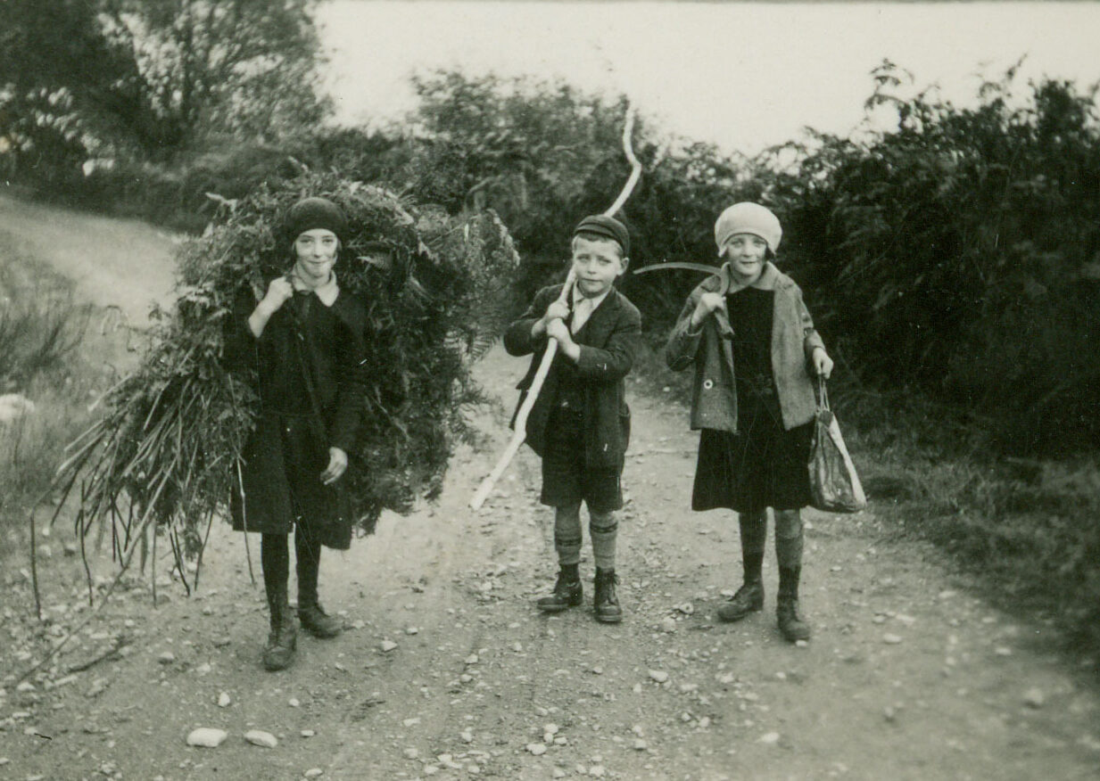 A black and white photograph featuring three children heading down a rough road.  The girl on the left wears a dark dress and hat and is carrying a large bushel of bracken on her back.  The small boy in the middle wears shorts with long socks, a jacket and cap.  He is carrying a very long stick over one shoulder.  The girl on the right is wearing a jacket over her dress and a pale hat.  She is carrying a scythe in one hand and a drawstring bag in the other.  All three have stopped to look at the photographer.