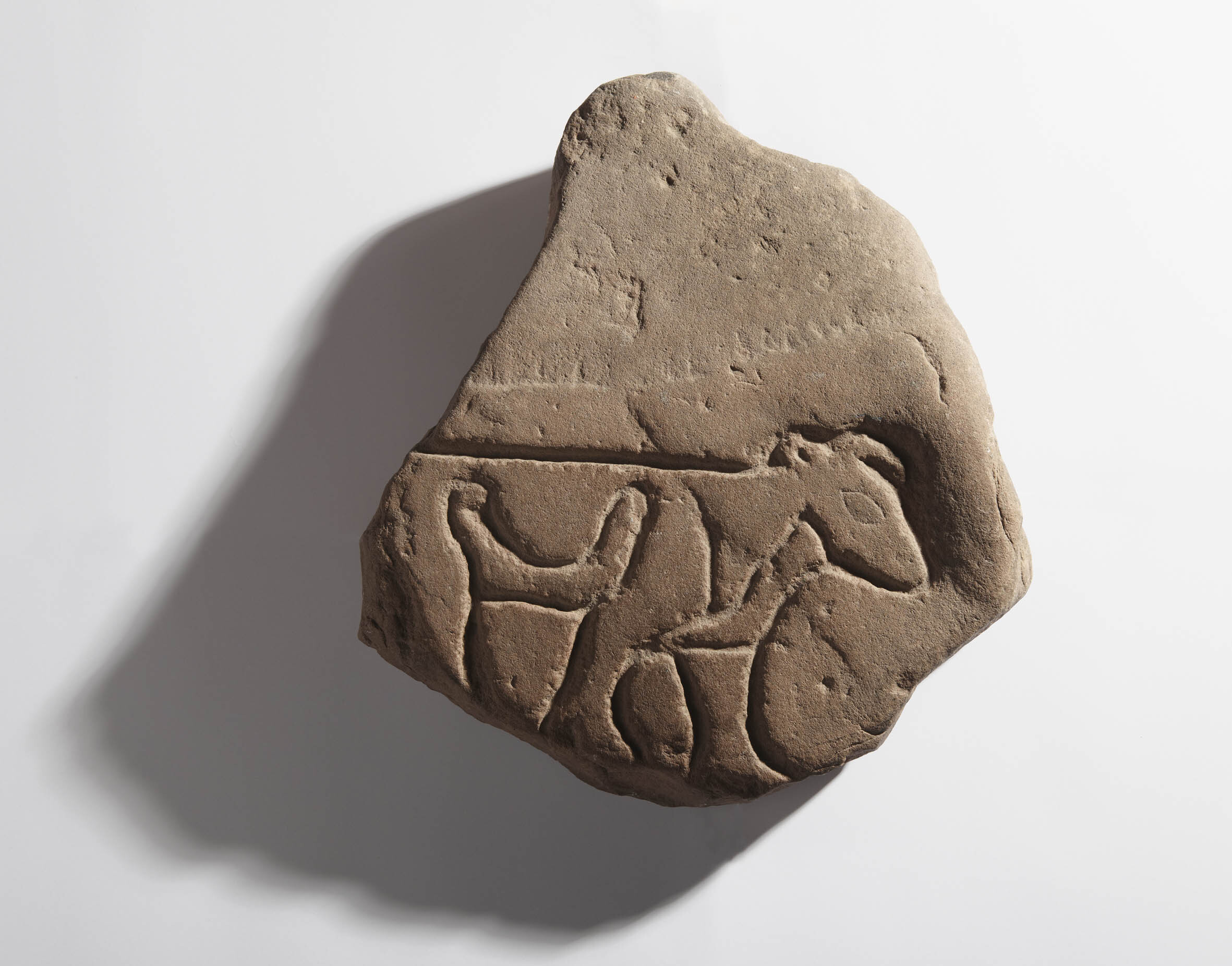 Fragment of a Pictish symbol stone showing most of the figure of a bull carved into a stone. The back legs and tail are missing.