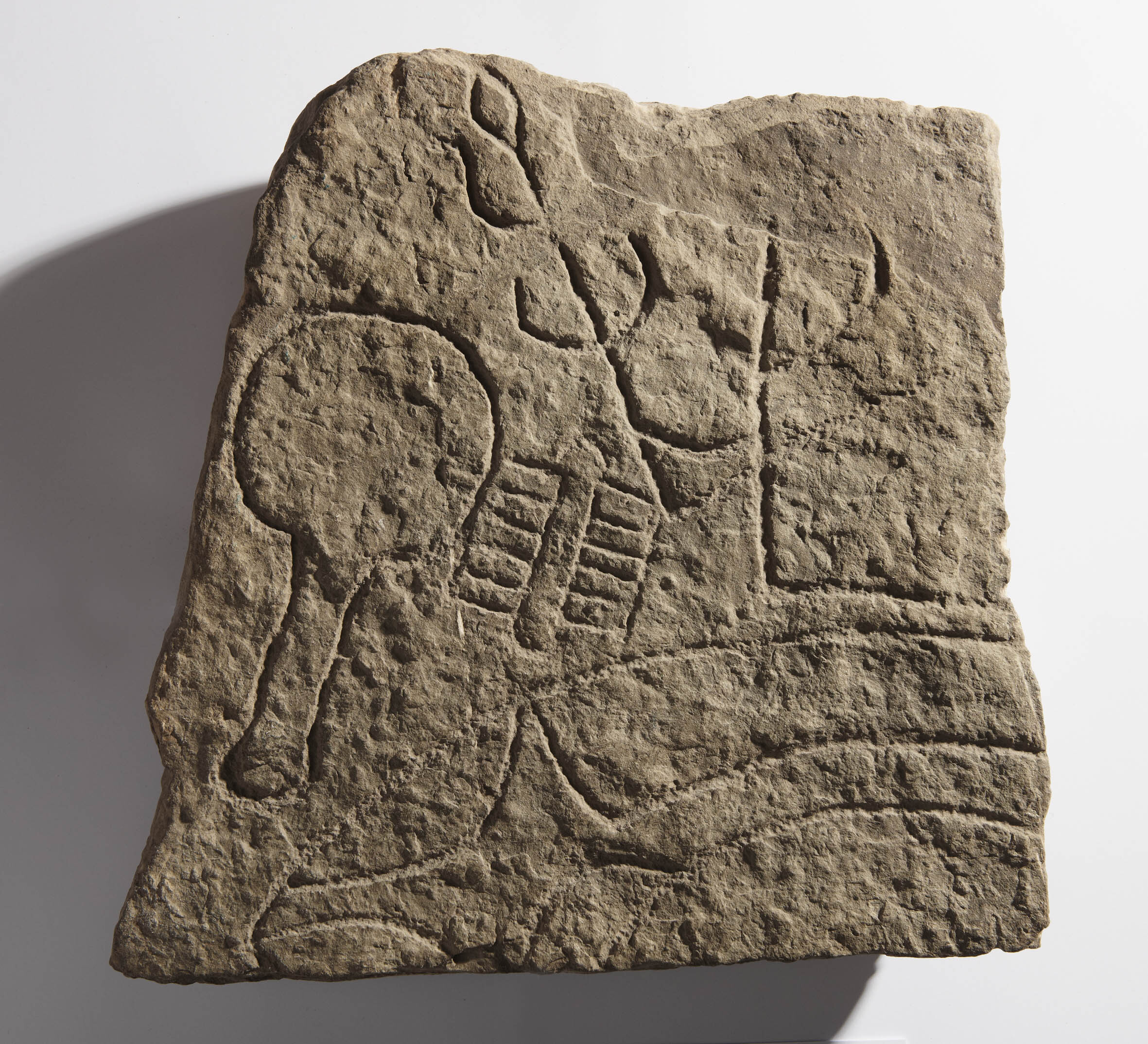 Fragment of a Pictish symbol stone found at Cullaird Farm.  The stone is roughly square in shape and features the outline of a mirror and two combs along with other shapes, carved into the stone.