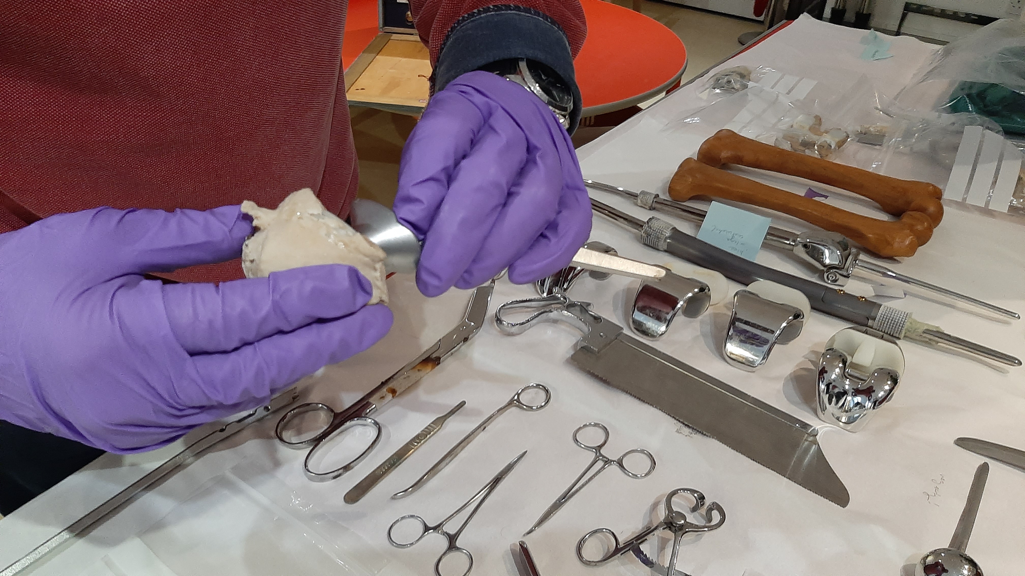 A close up view of a researcher wearing purple nitrile gloves, who is handling a metal hip joint and laying out medical implements on a table