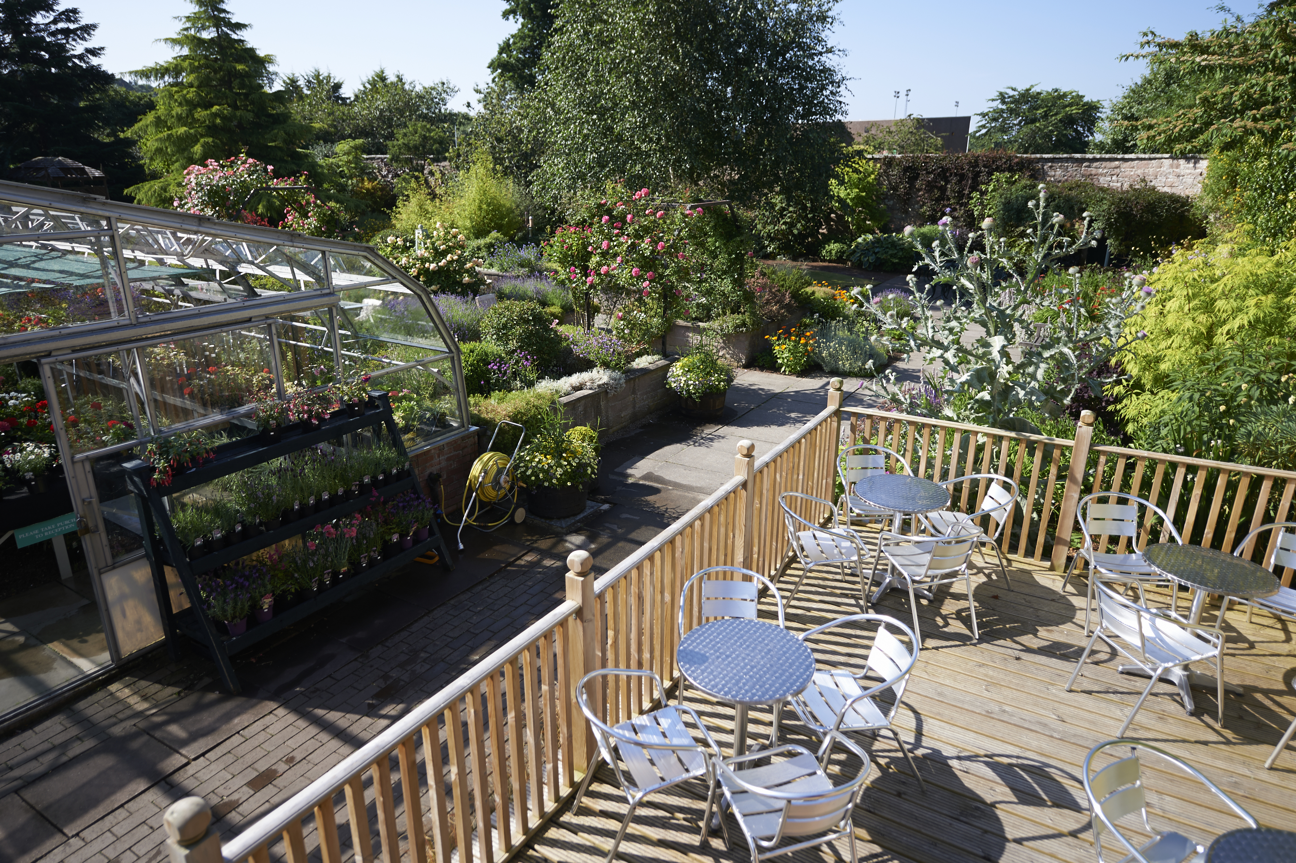A bright, sunny garden scene featuring a wooden deck with several metal tables and chairs arranged for outdoor seating. To the left, a glass greenhouse is filled with colourful plants and flowers, with additional potted plants displayed on tiered shelving outside. The surrounding garden is lush and vibrant, with blooming roses, lavender, and a variety of shrubs and trees. A paved pathway winds through the planting beds, creating a peaceful, inviting atmosphere.