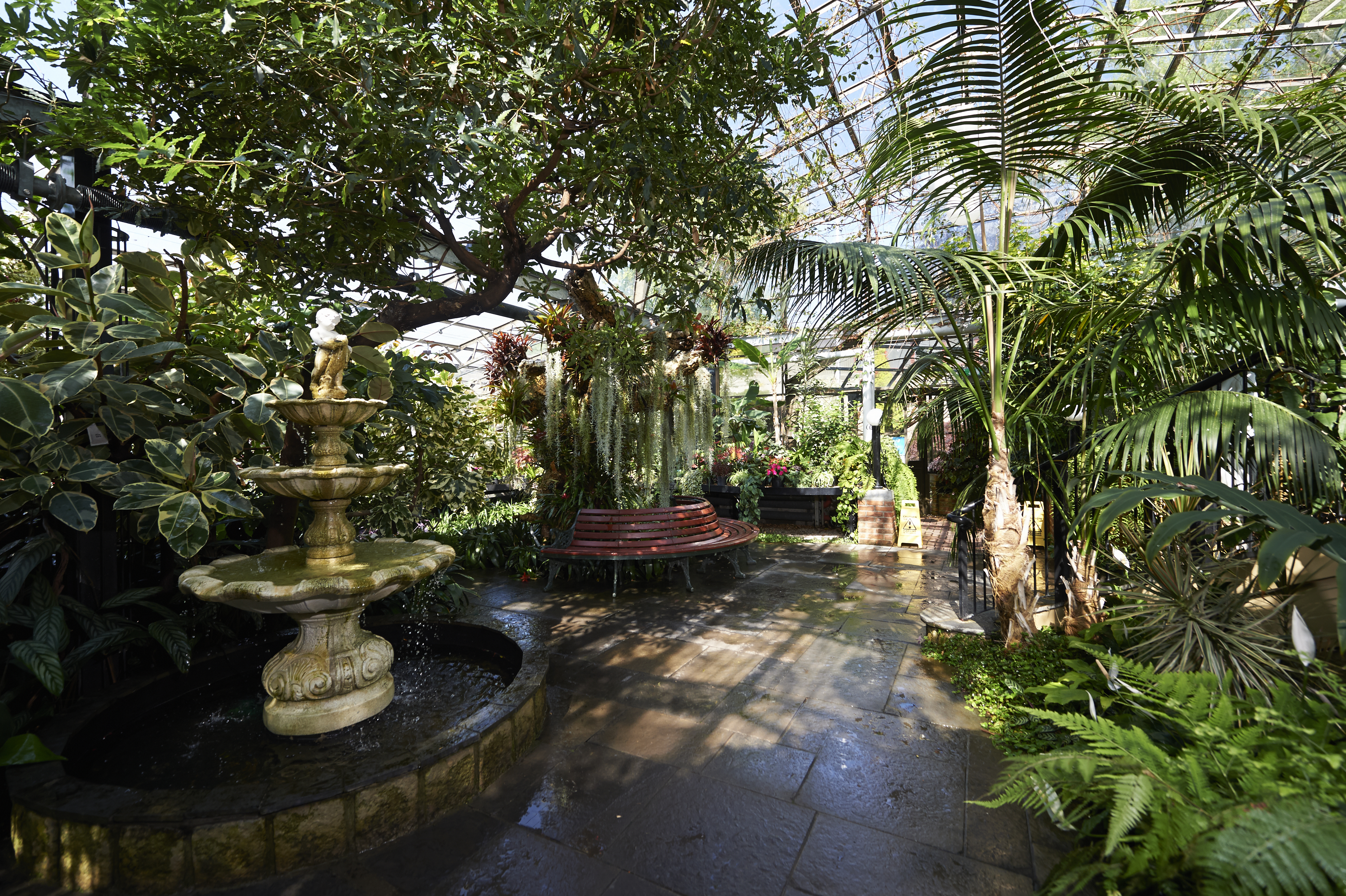 Interior of a lush greenhouse filled with tropical plants and greenery. A stone fountain with a small statue stands on the left, surrounded by foliage. Sunlight streams through the glass roof, casting shadows on the wet stone pathway. In the centre, a curved wooden bench sits beneath hanging plants, and more vibrant flowers and potted plants are visible in the background.