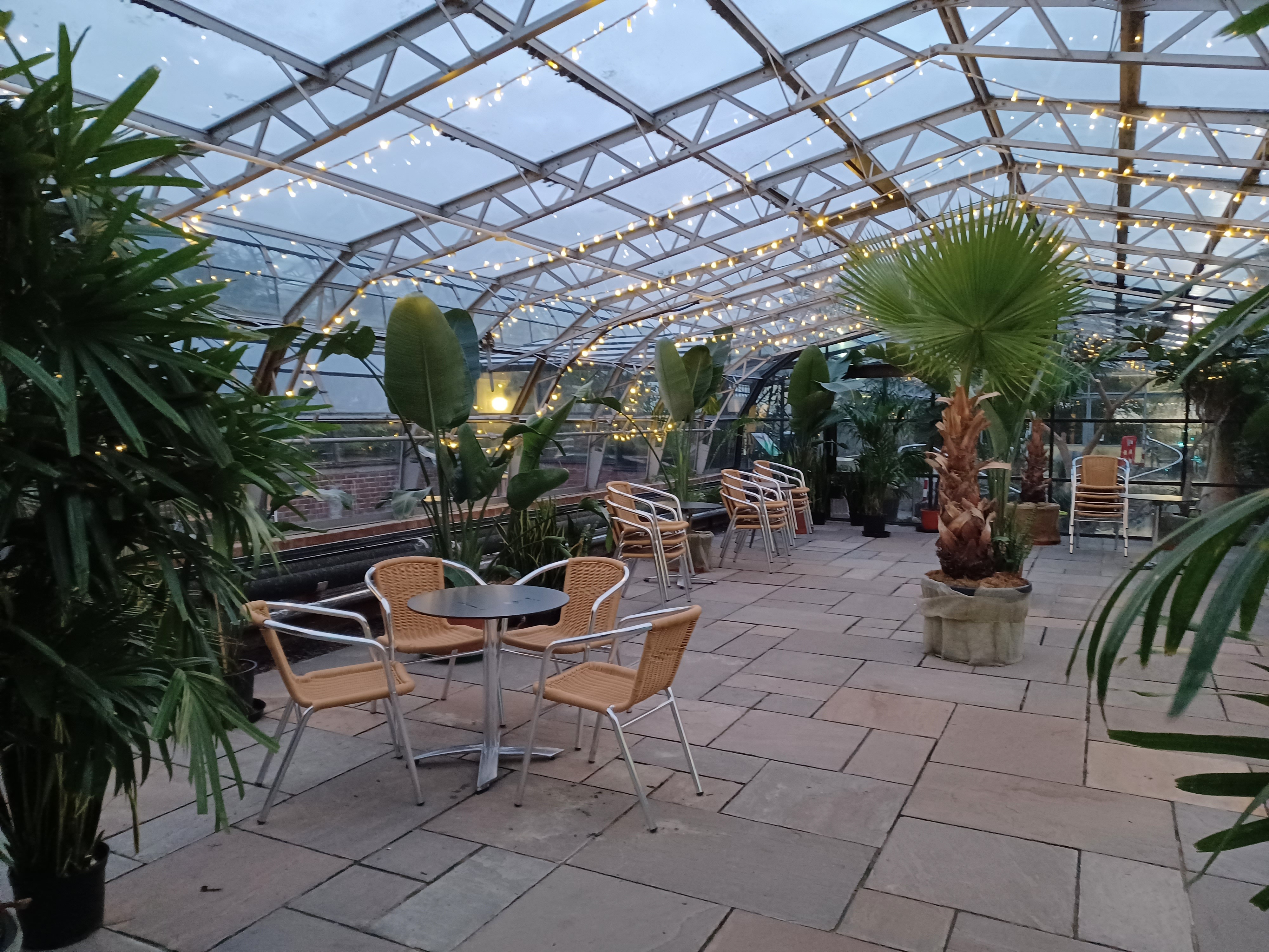 Interior of a cafe glasshouse with hangin fairy lights and green palms dotted arround.