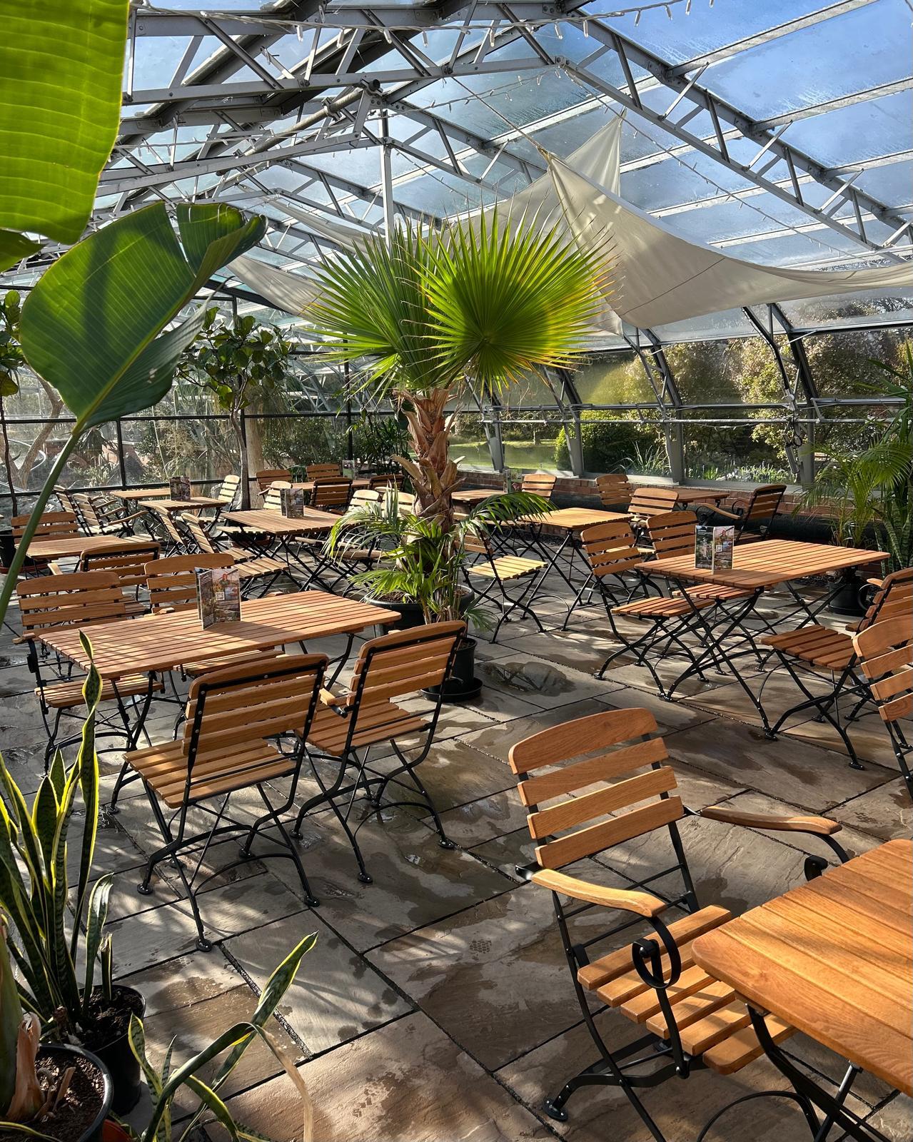 Palms reaching over a seating area within a café glasshouse and the sun beaming through.