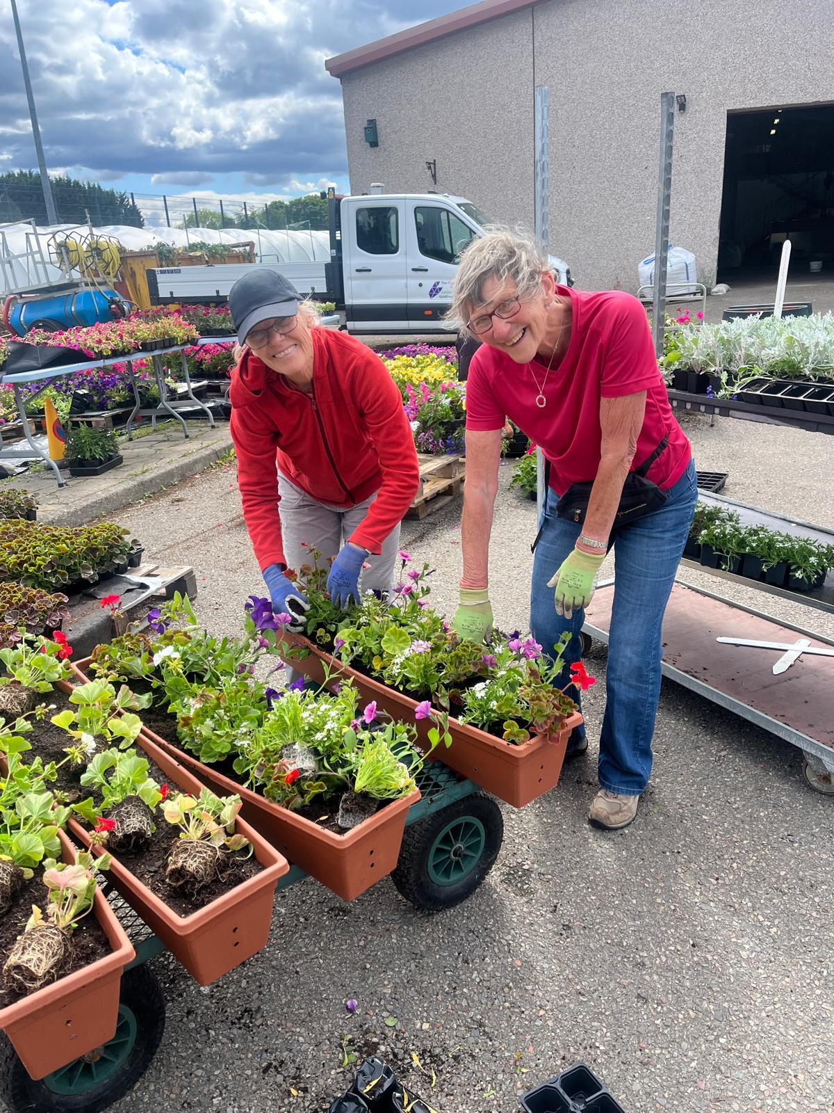 2 gardens volunteers with beaming smiles on their faces as they help plant up some flower troughs.