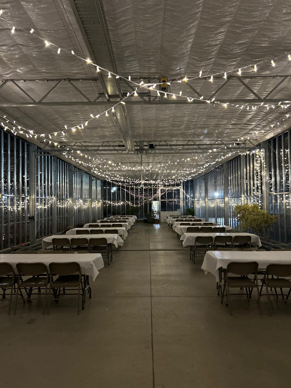 A large glasshouse with hanging fairy lights creating an intimate space.