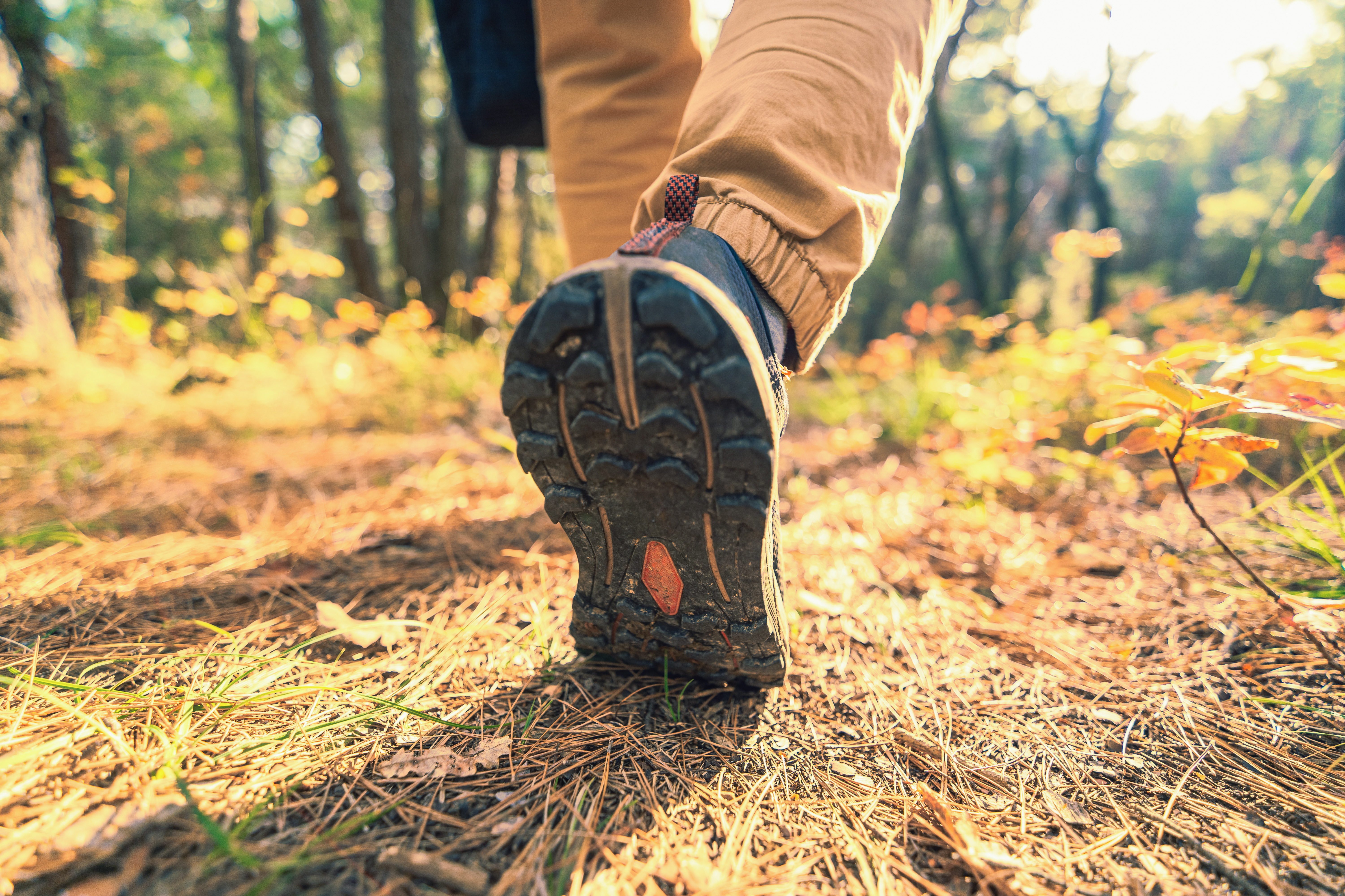 Close-up of a person’s boot walking along a forest path covered in pine needles.