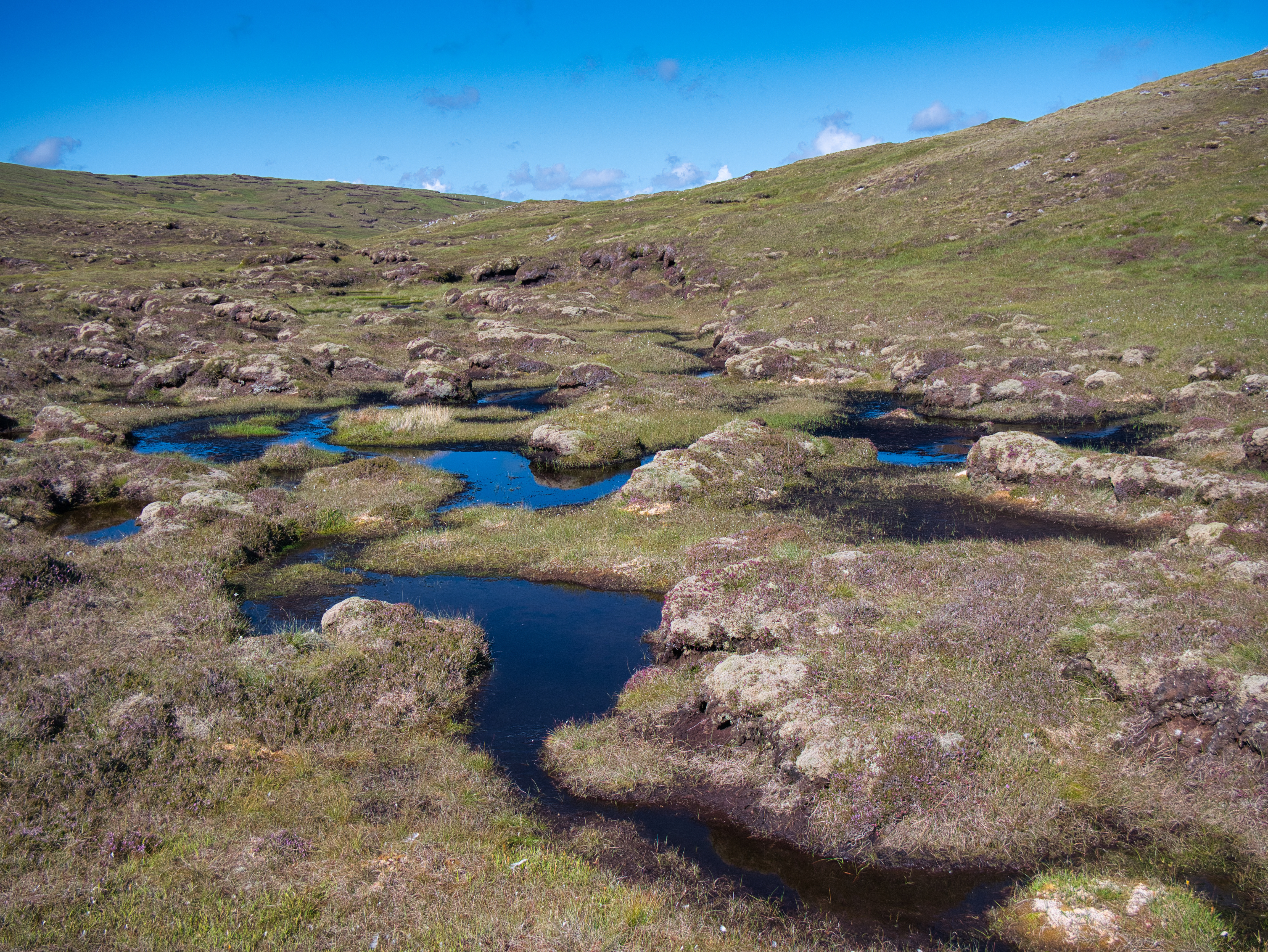 Pools of water scattered across a peatland landscape under a clear sky.