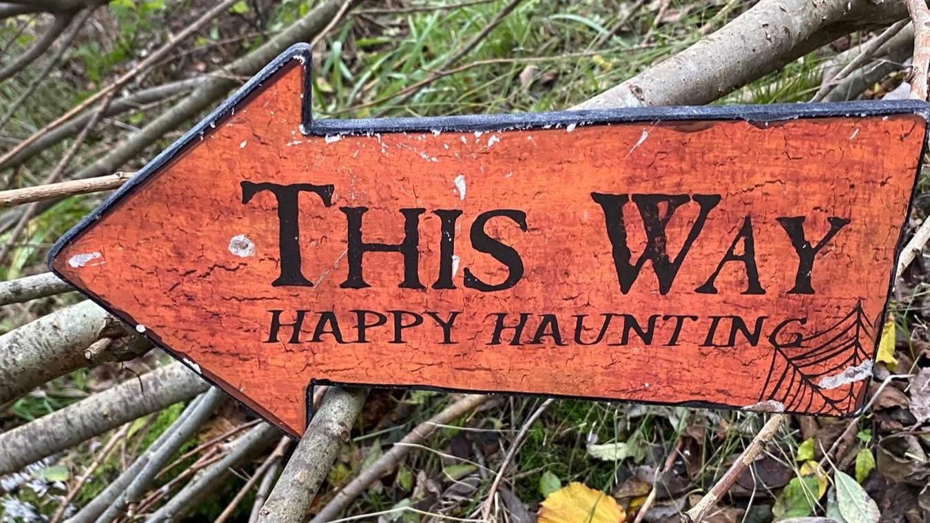 Orange arrow sign reading “This way, happy haunting” on woodland floor