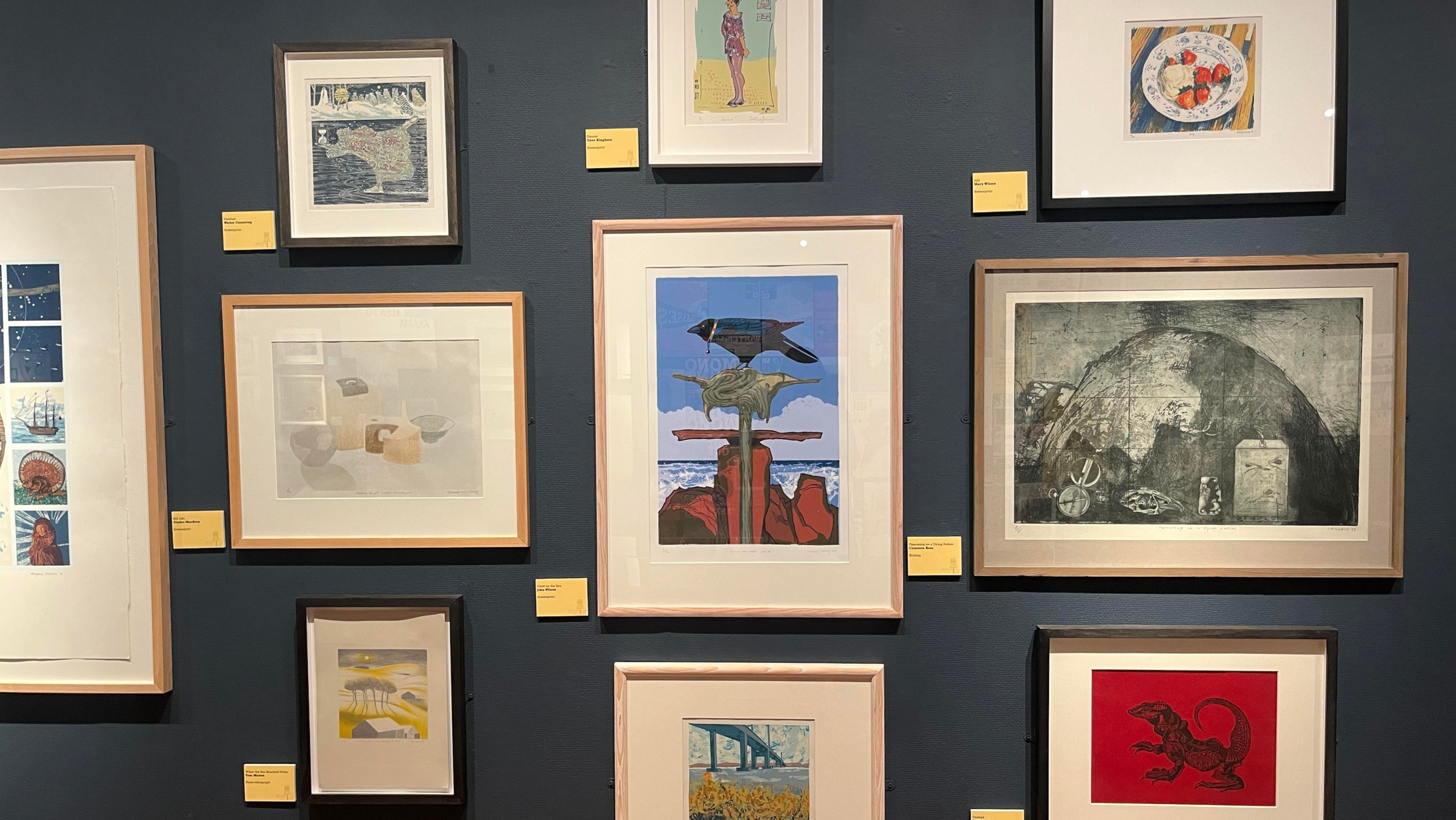 A collection of framed prints on display as part of the HPS @ 40 exhibition at Inverness Museum & Art Gallery