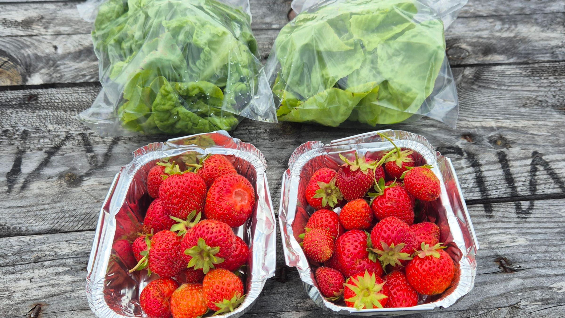 Freshly picked strawberries and salad leaves