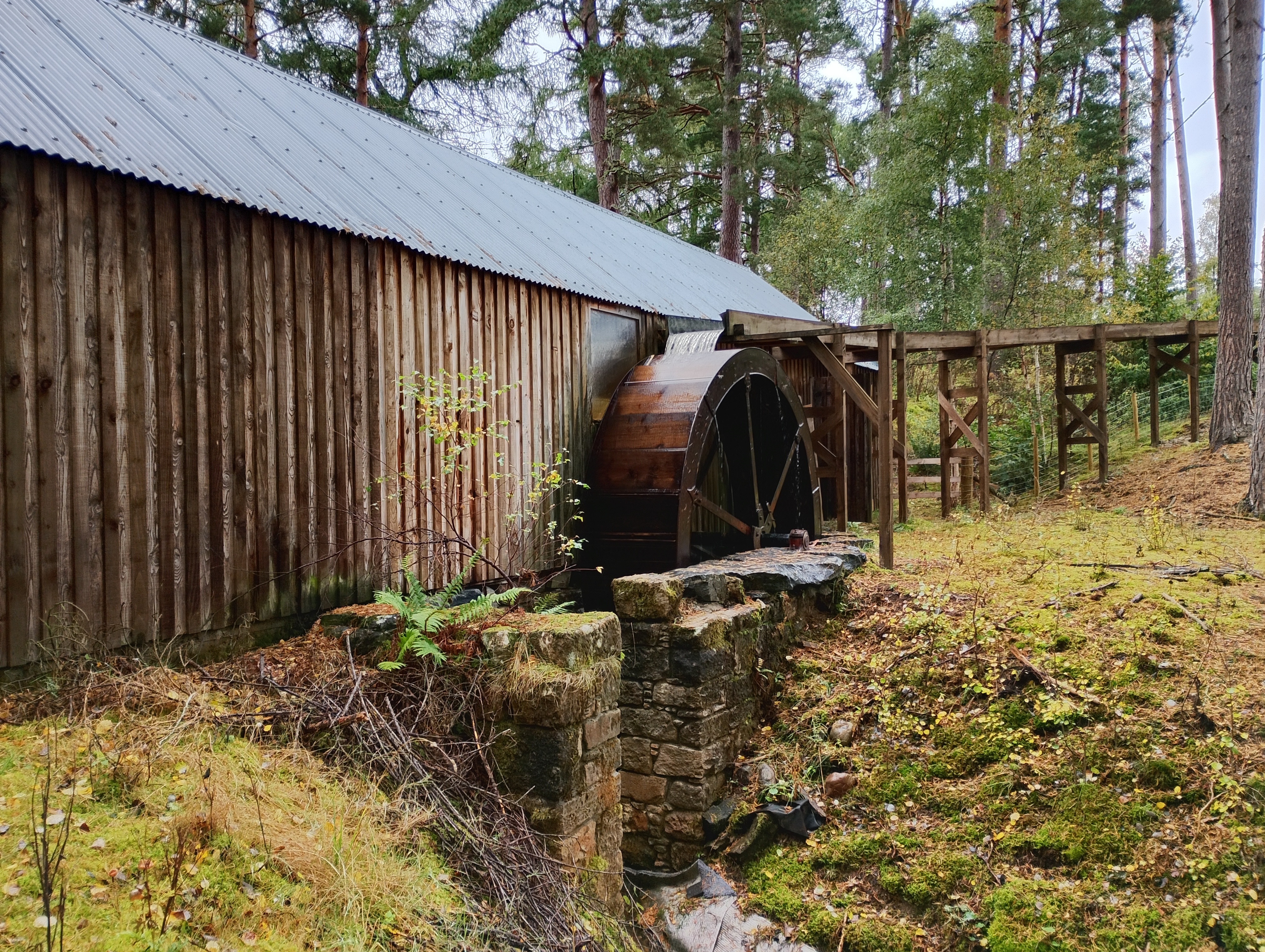 An old wooden building with iron roof and wooden water wheel in a woodland setting.
