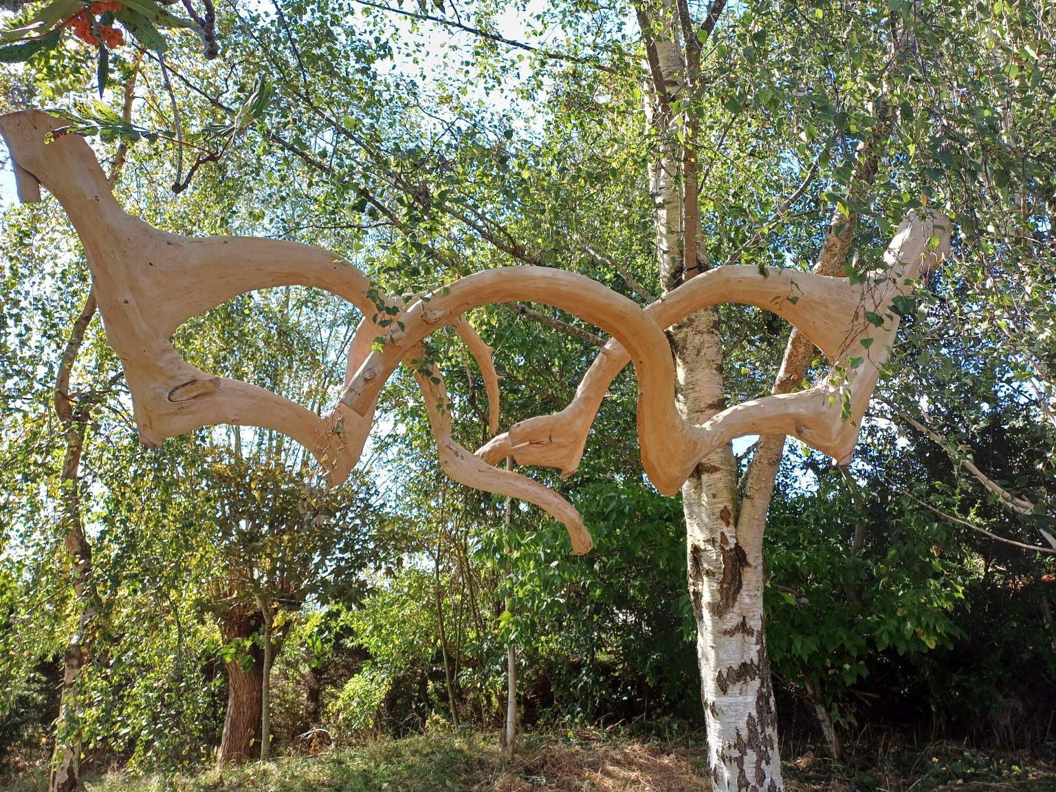 Outdoor wooden sculpture suspended between trees, featuring curved wooden elements forming an abstract shape.