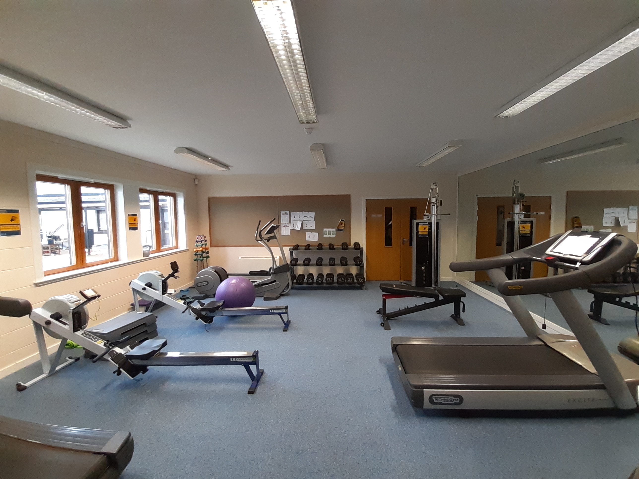 A gym equipped with a variety of fitness apparatus, including weights and a balance ball.