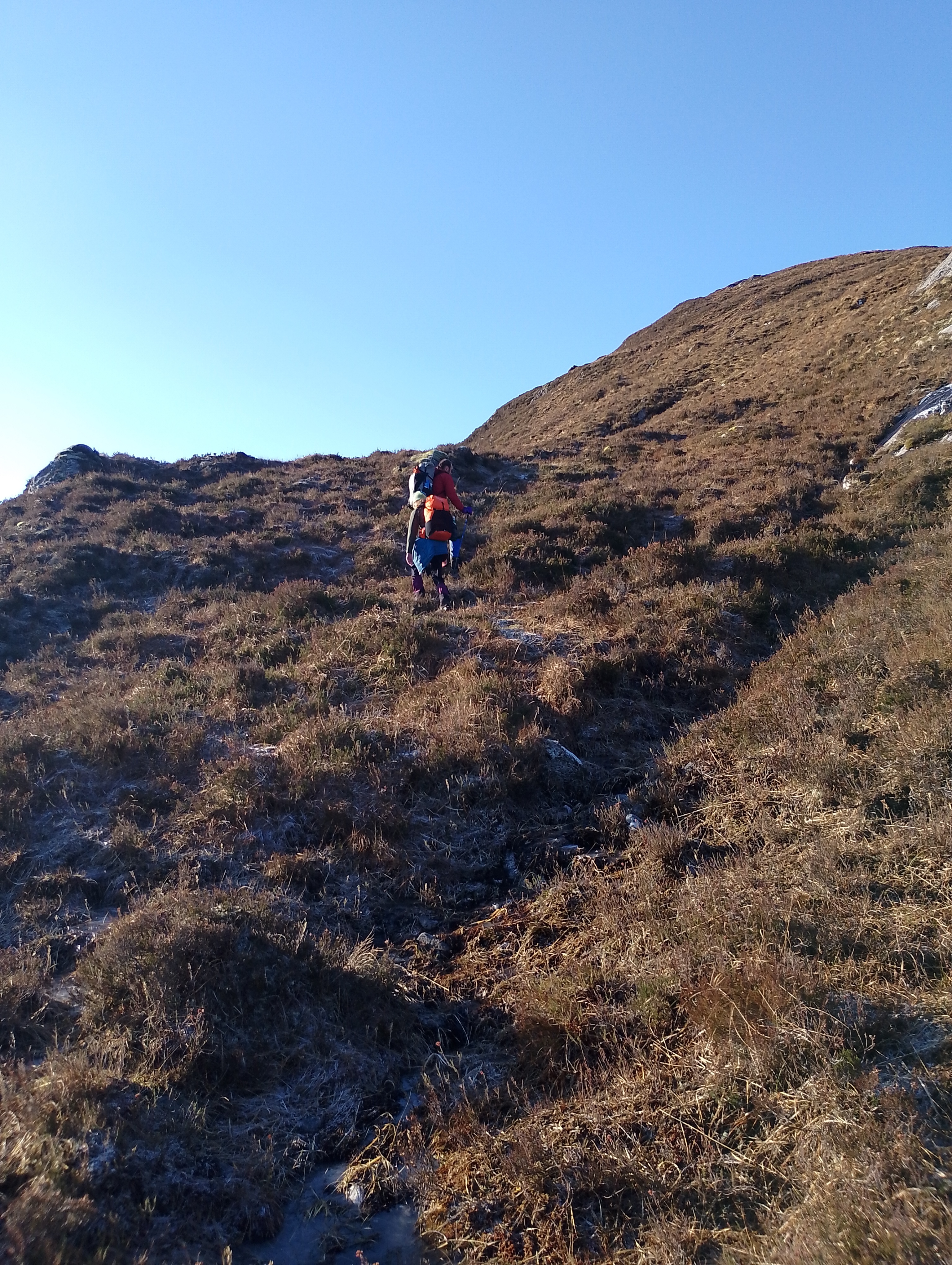 Two people walking up a heathery hillside