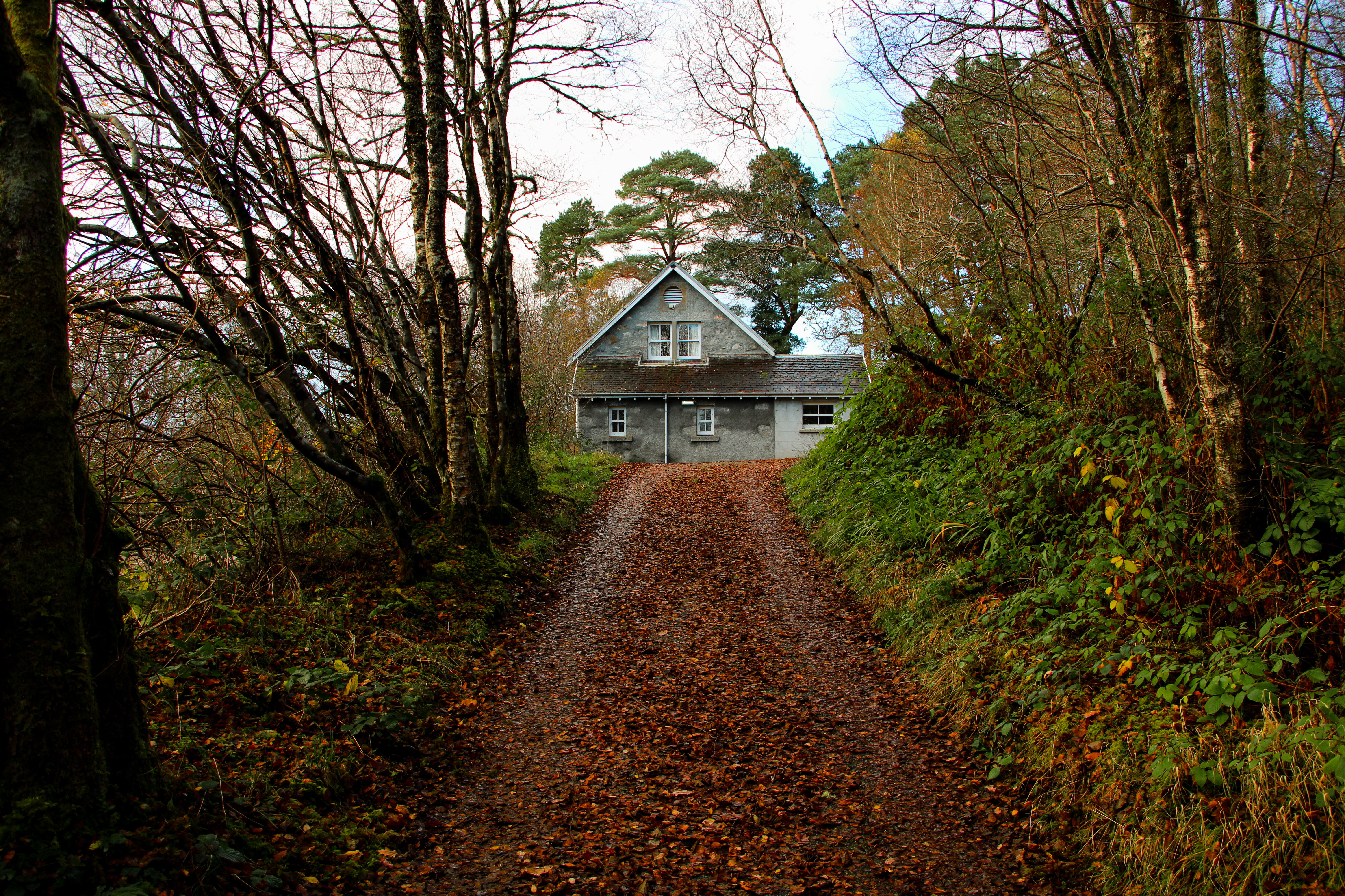 A gravel track covered with autumn leaves leading uphill through trees toward a stone building with a pitched roof partially visible at the top of the path.