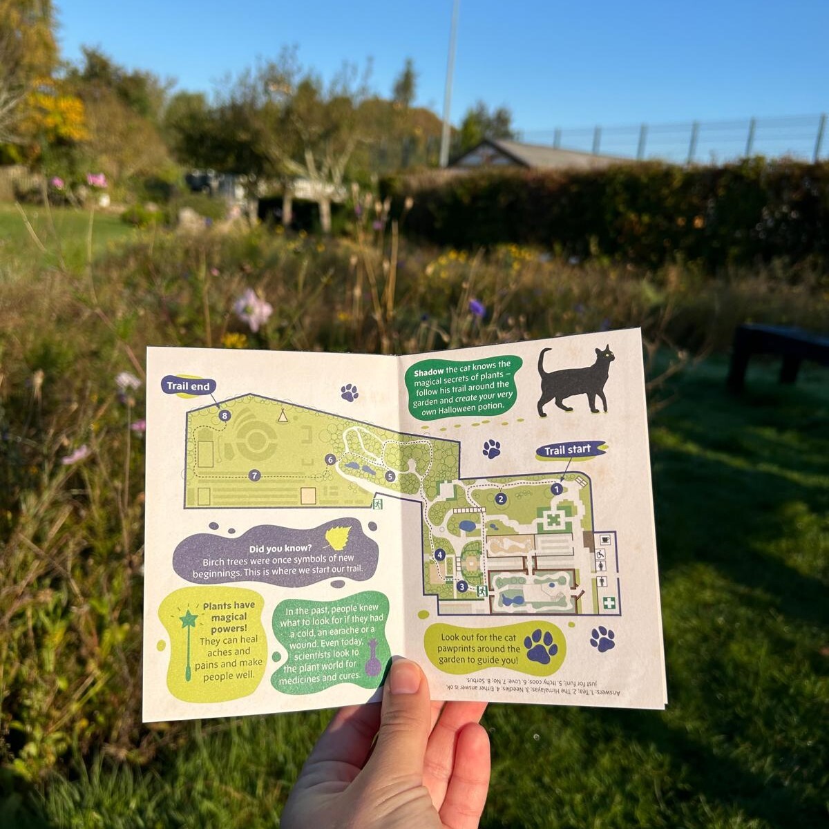 A garden trail leaflet being held open and a wild garden in the background.