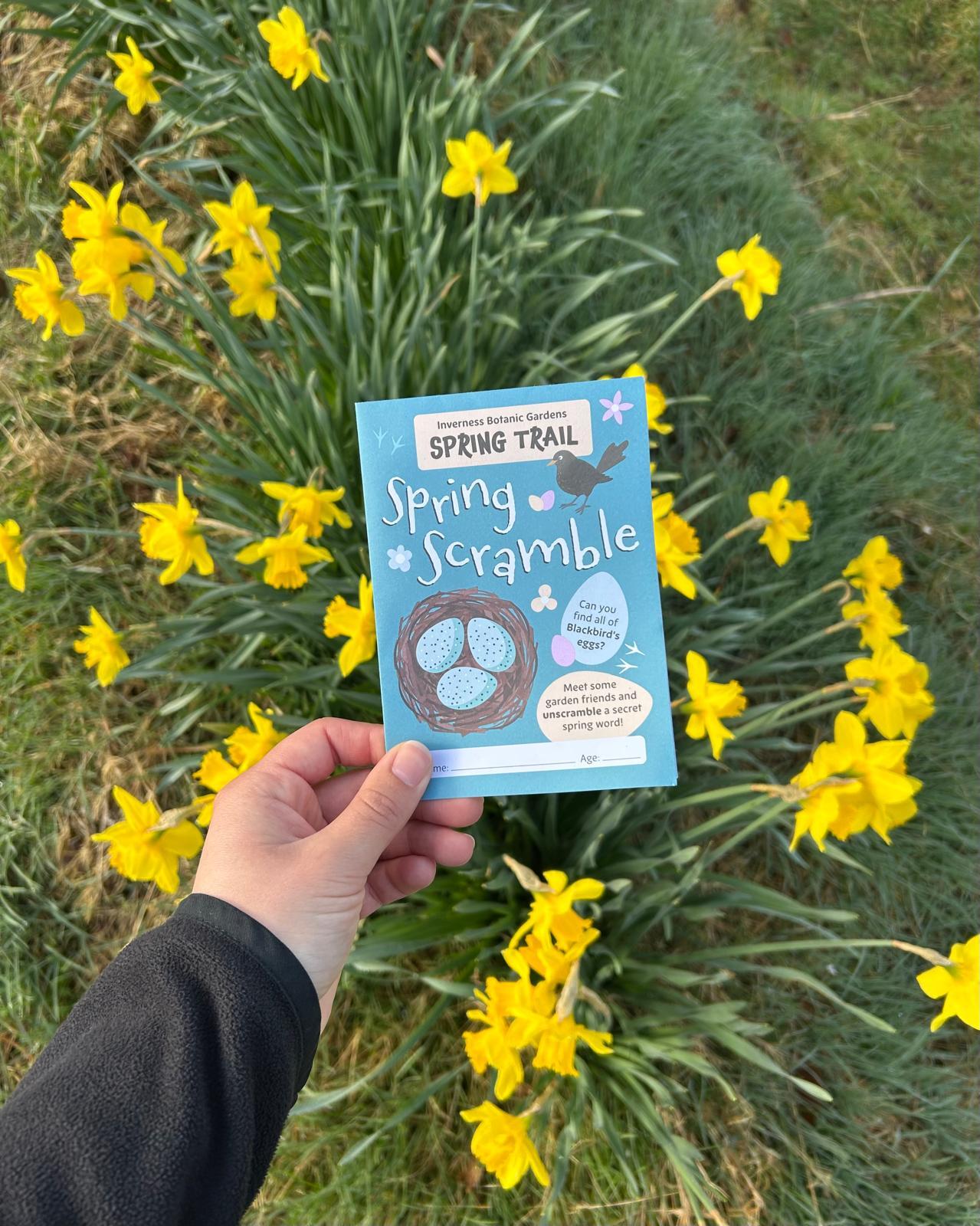 A hand holding a kids trail leaflet with bright, yellow daffodils in the background.