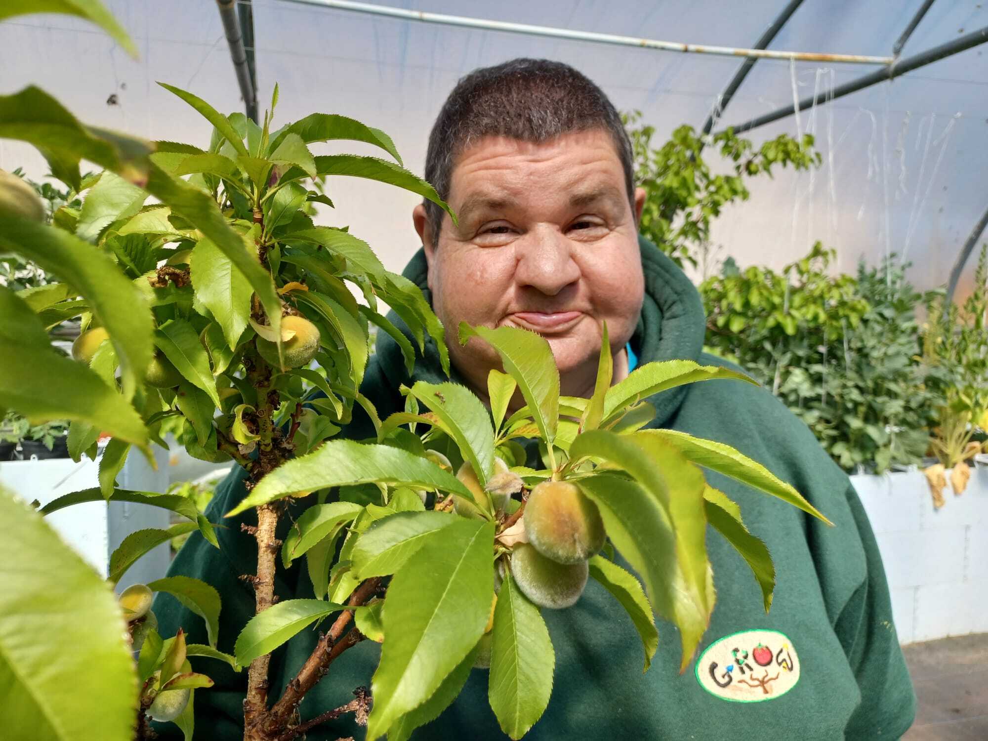A proud gardener peaking through the branches of a peach tree.