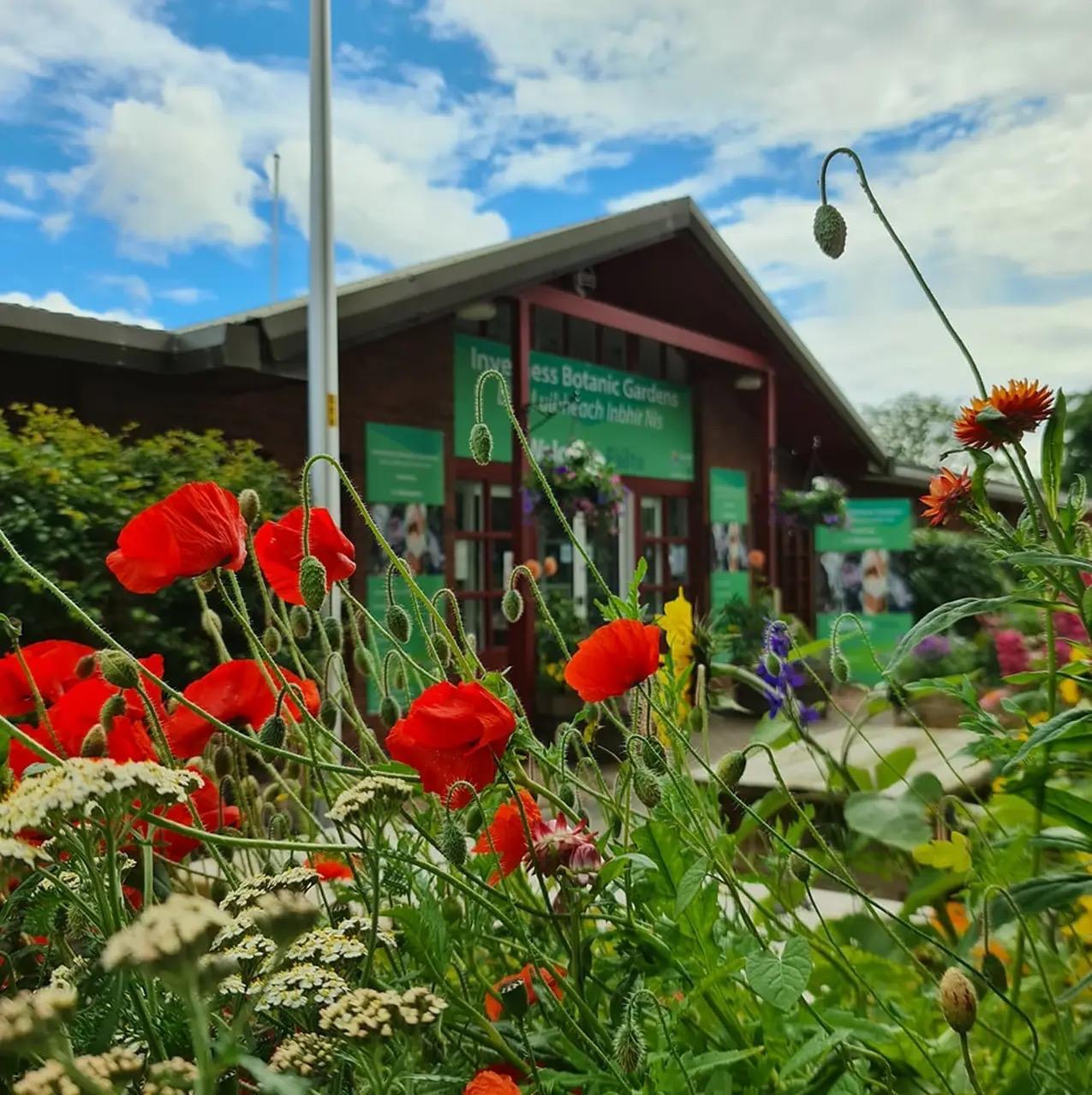 Entrance to a botanic gardens hidden by bright, red poppies.